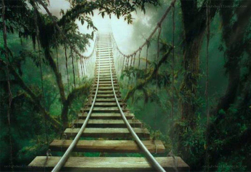 railway bridge in jungle