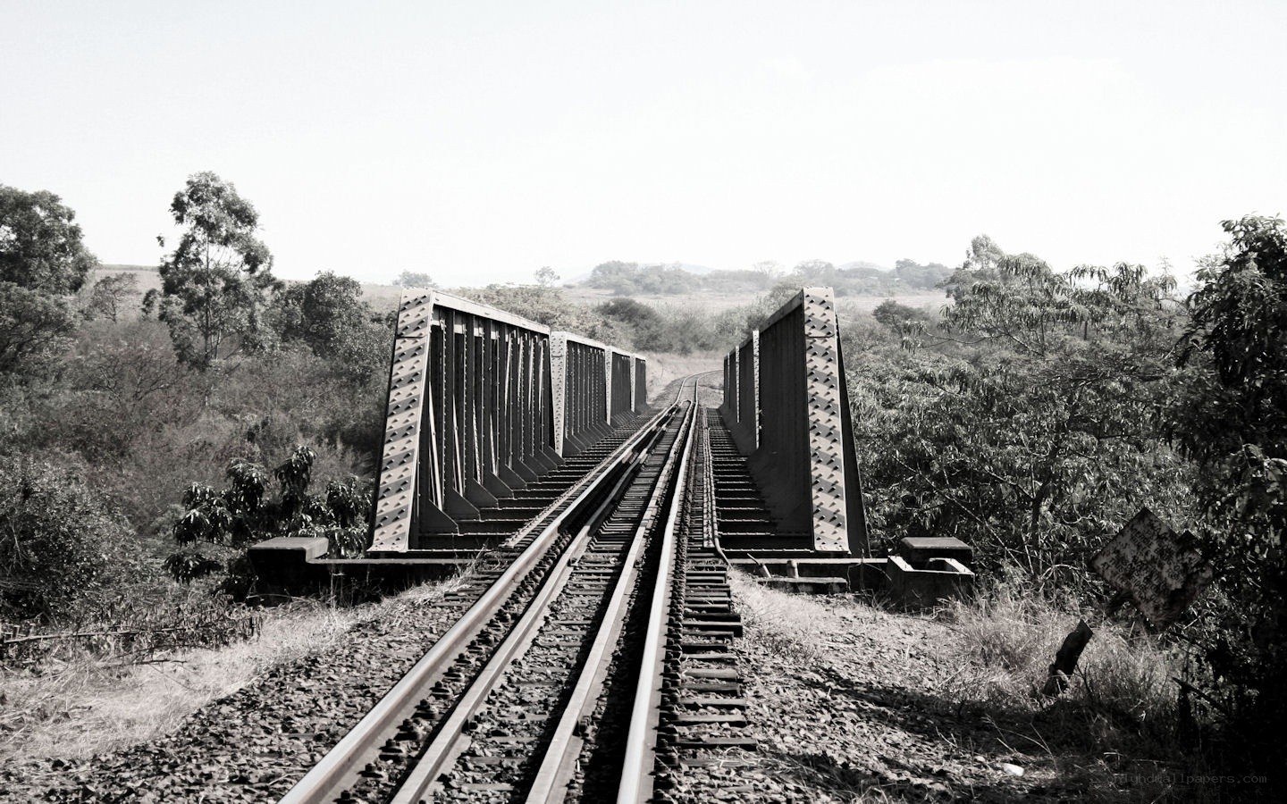 Railway bridge in rural landscape