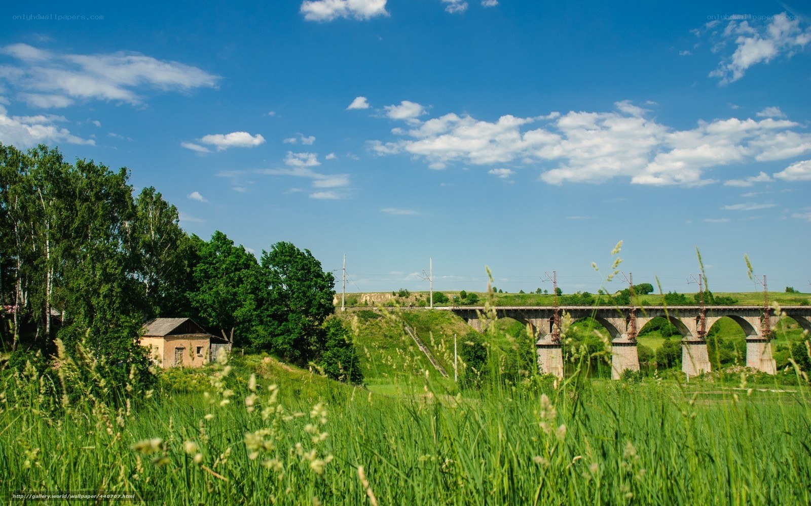 Railway bridge over green valley