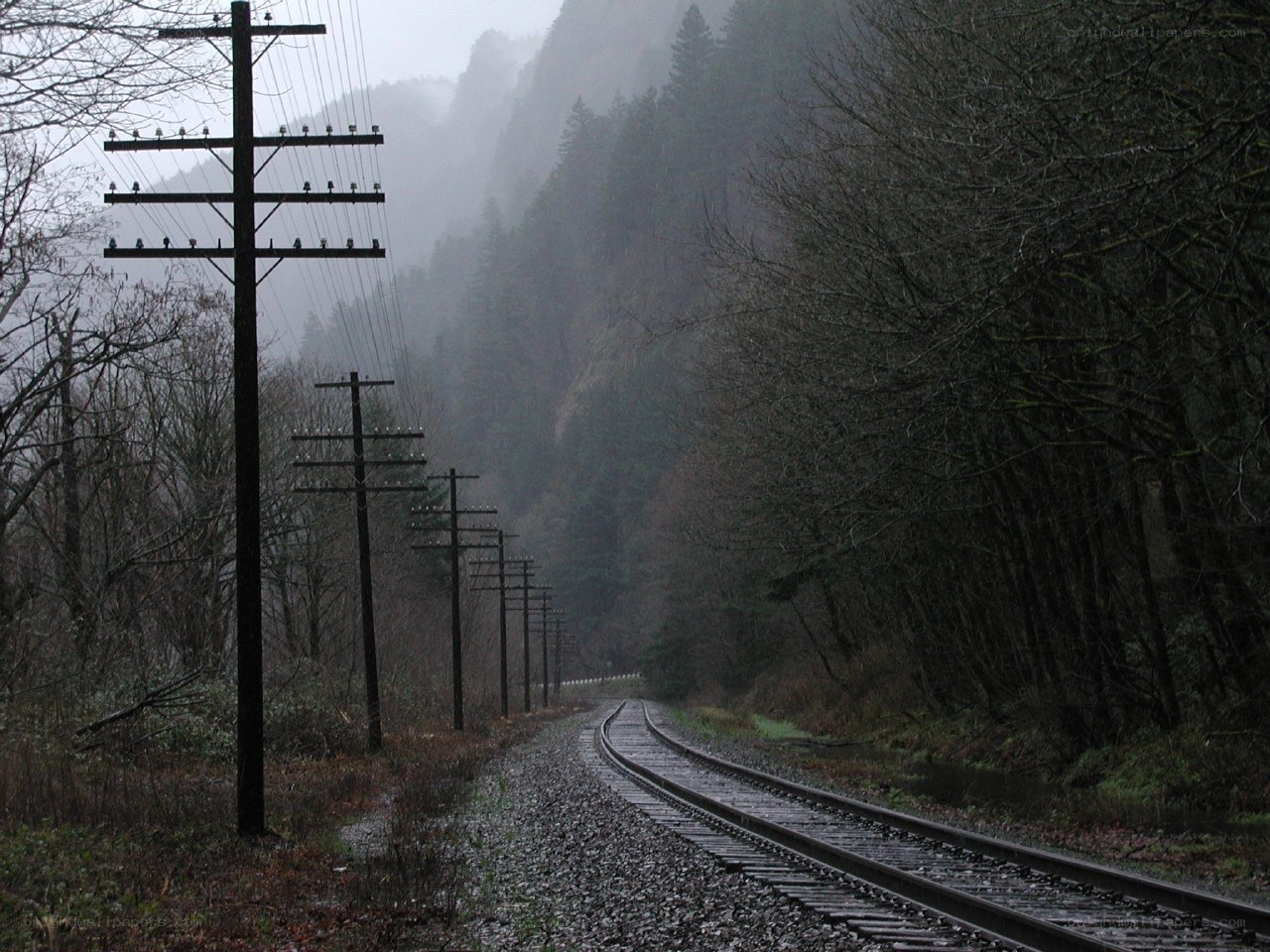 railway in misty forest