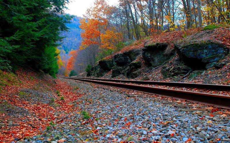 railway through autumn forest