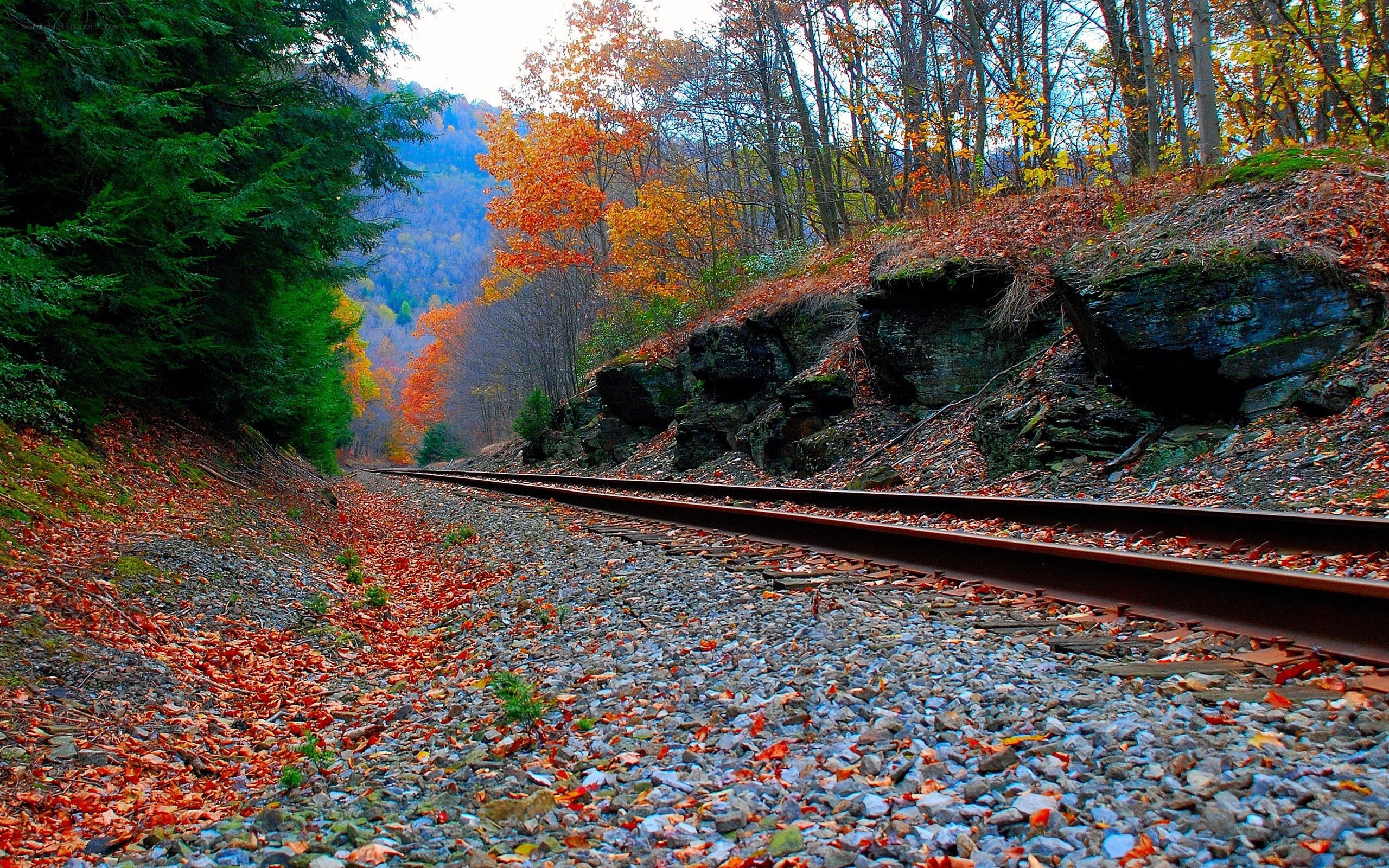 railway through autumn forest