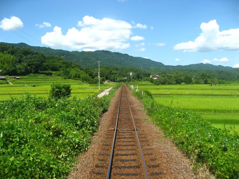 Railway through rice fields
