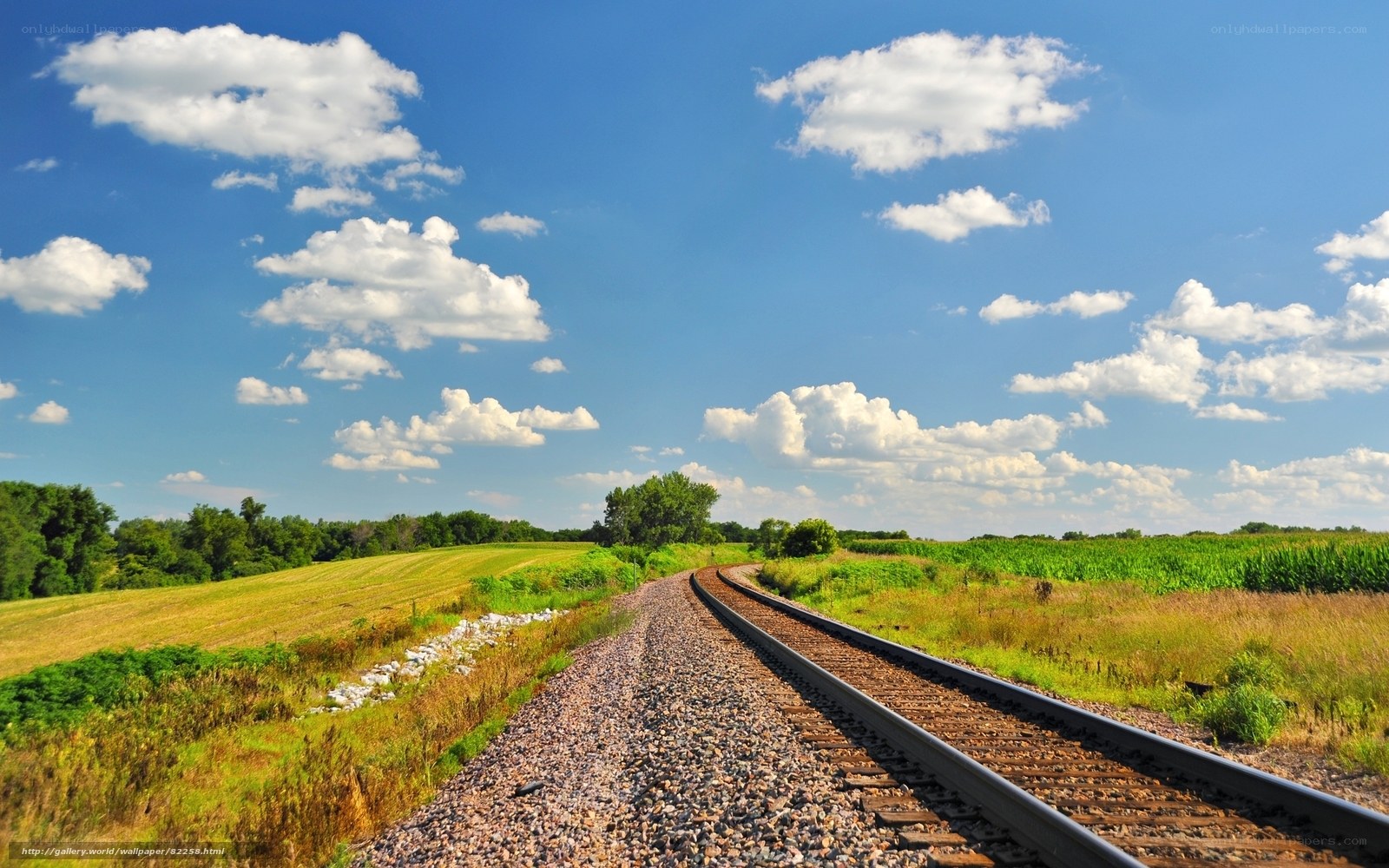 Railway through rural landscape