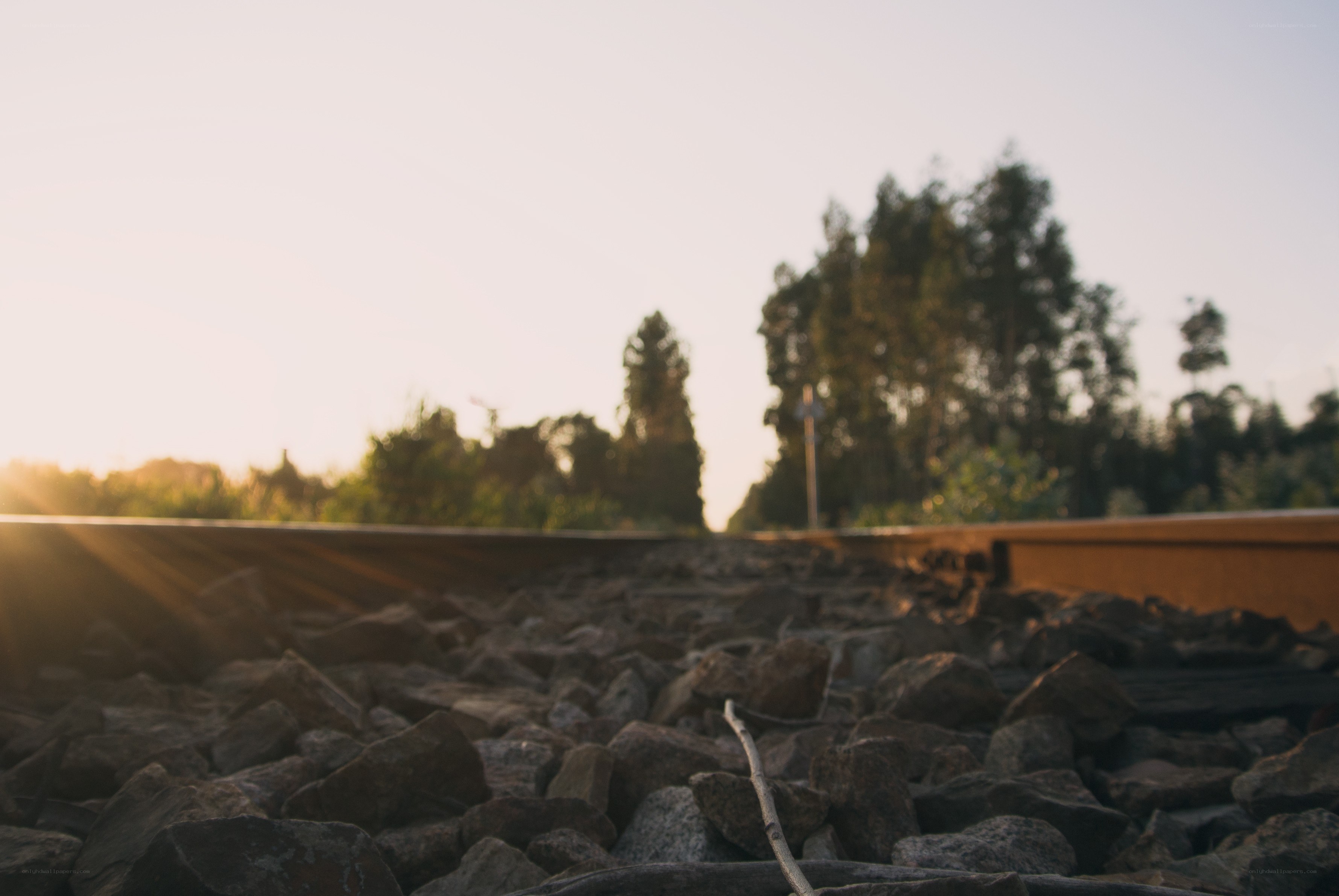 railway track at sunset