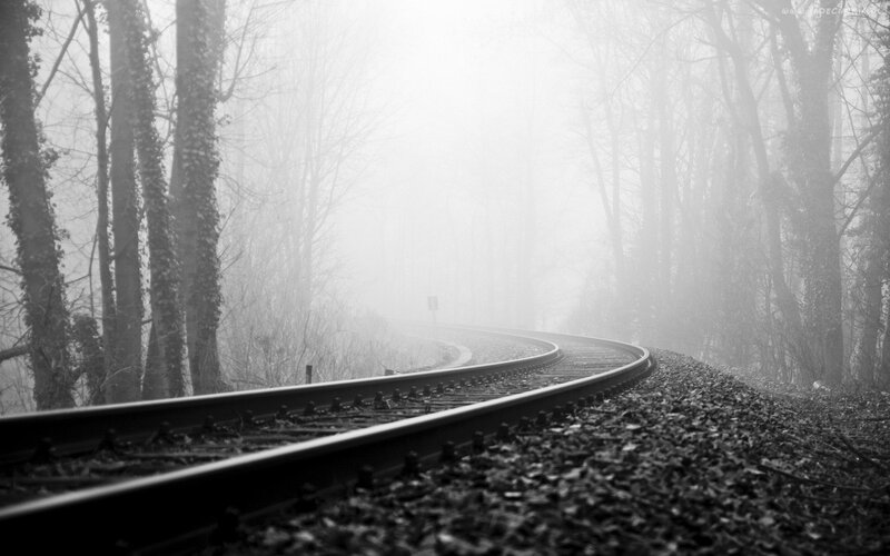 Railway Track in Forest — Black