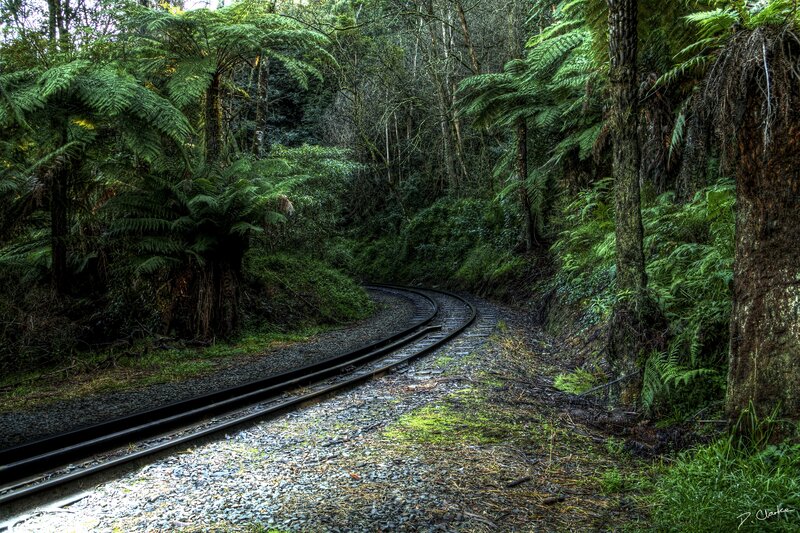 Railway Track in Forest — Green, Serene, Afternoon