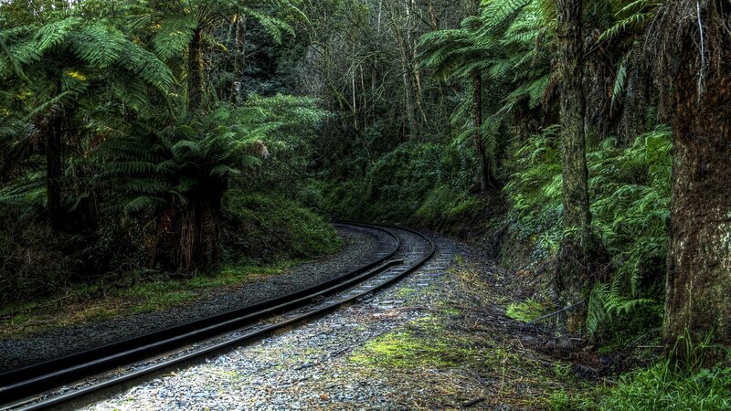 Railway Track in Forest — Green, Serene