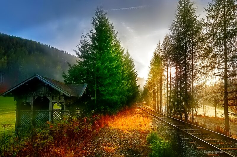 Railway Track in Forest — Green