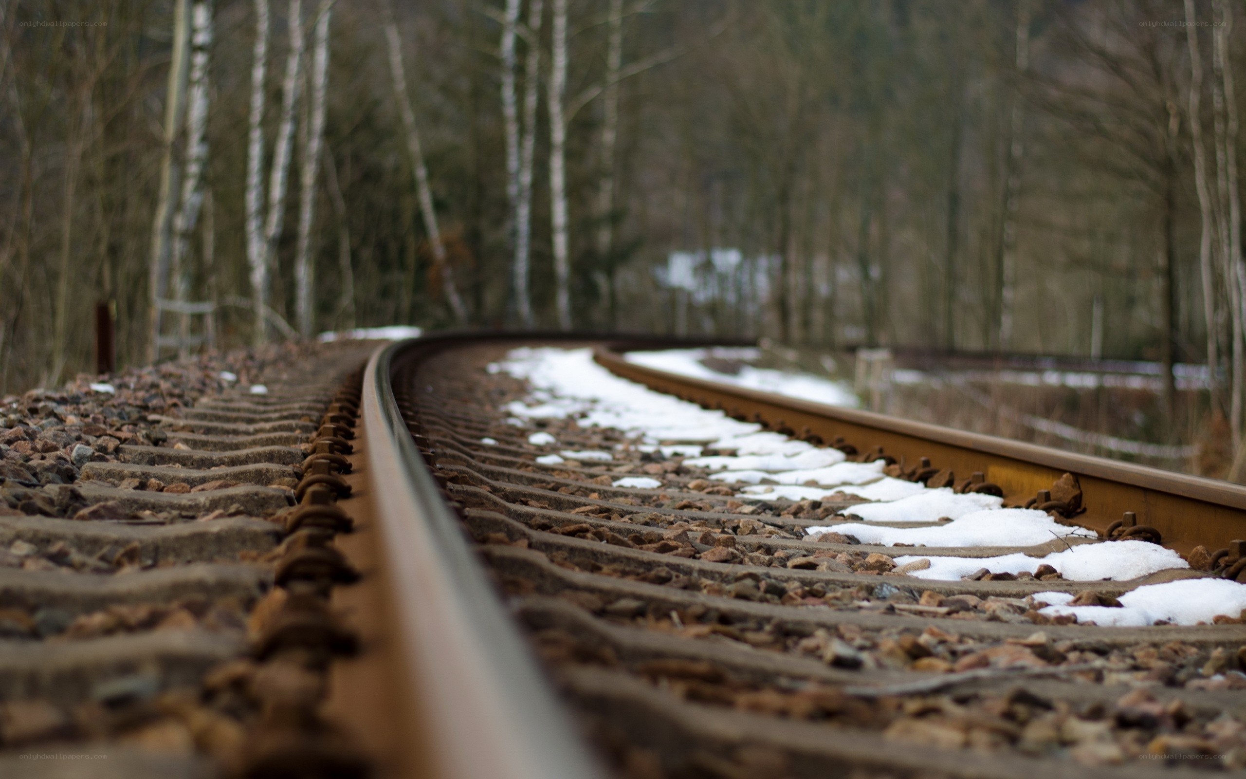 Railway track in snowy forest