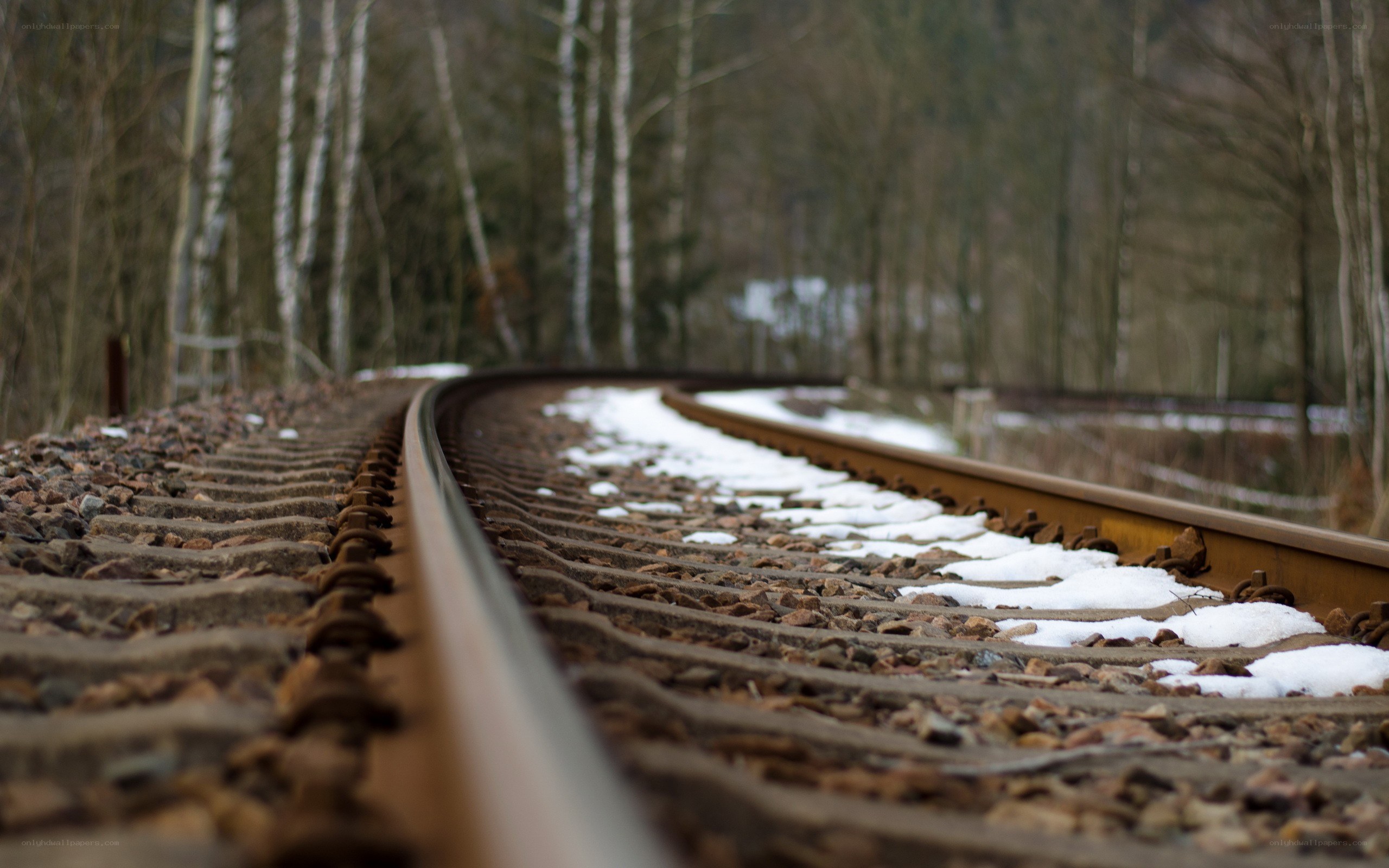 Railway track in winter forest