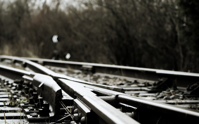 railway track junction in forest