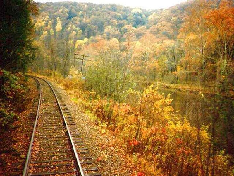Railway track through autumn forest