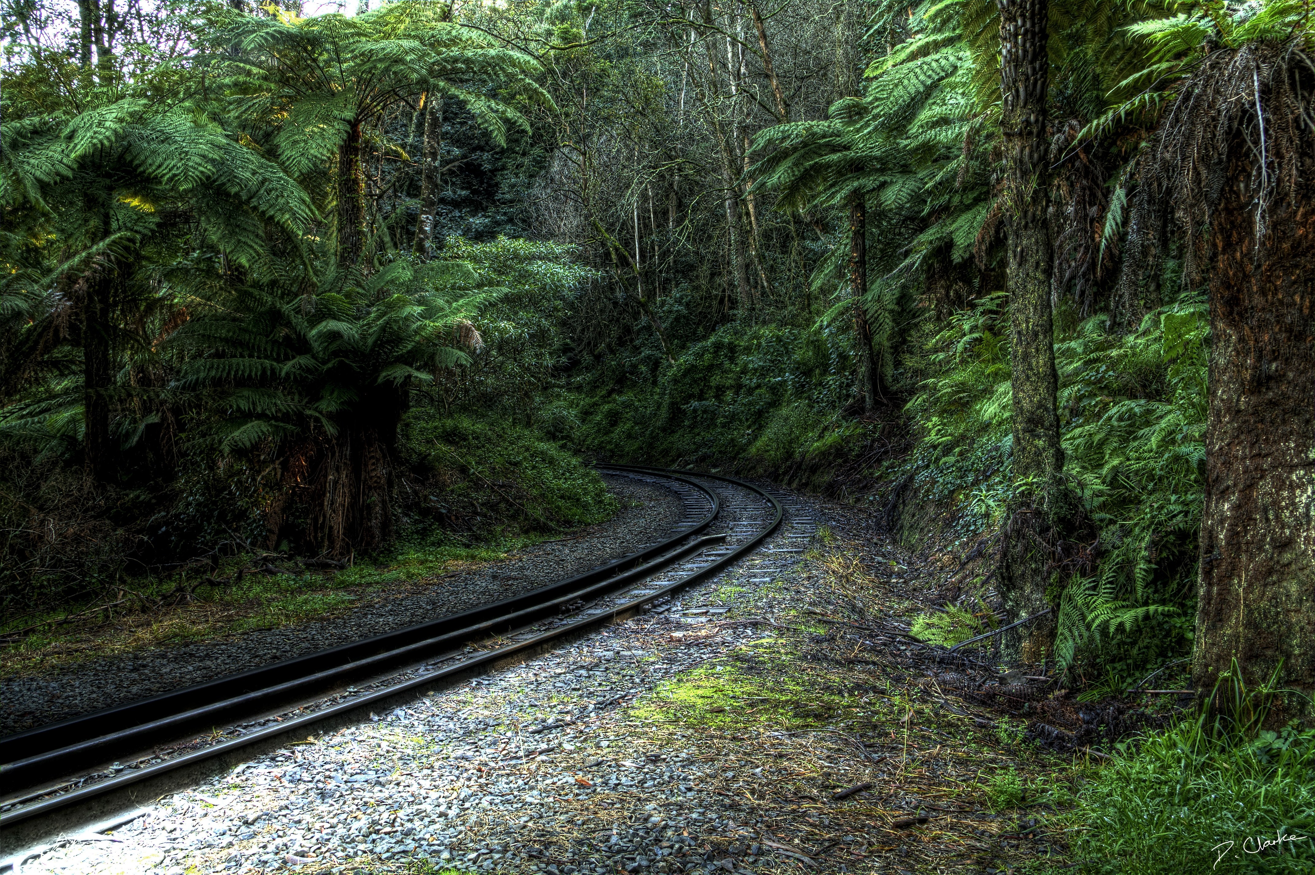 Railway track through forest