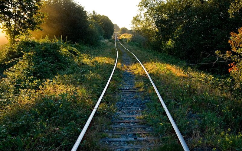 railway track through forest at sunrise