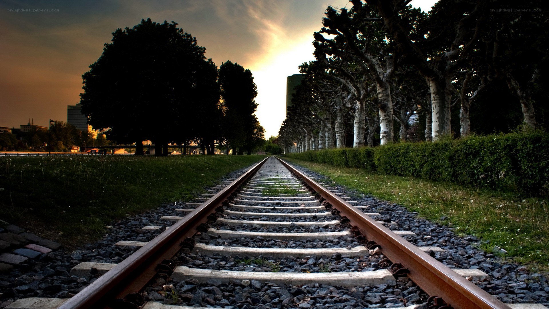 railway tracks at sunset