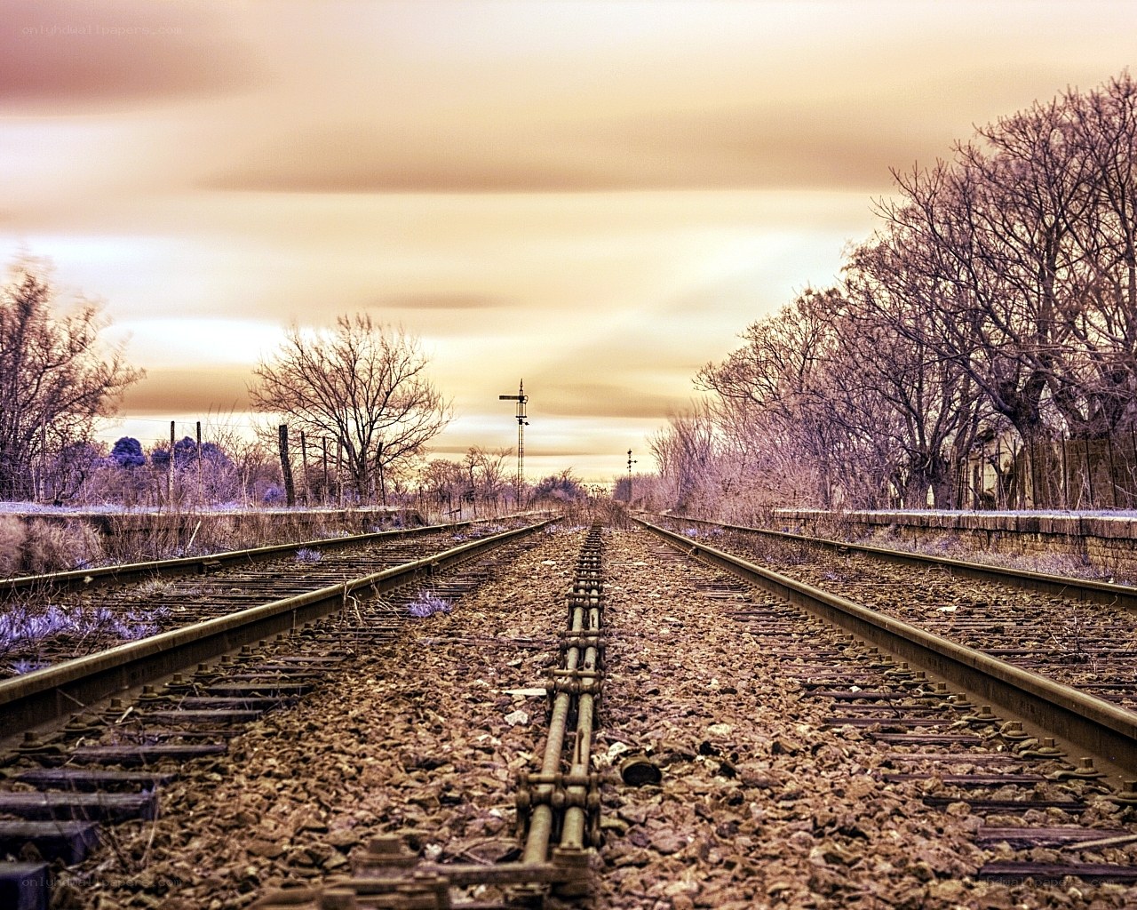 railway tracks at sunset