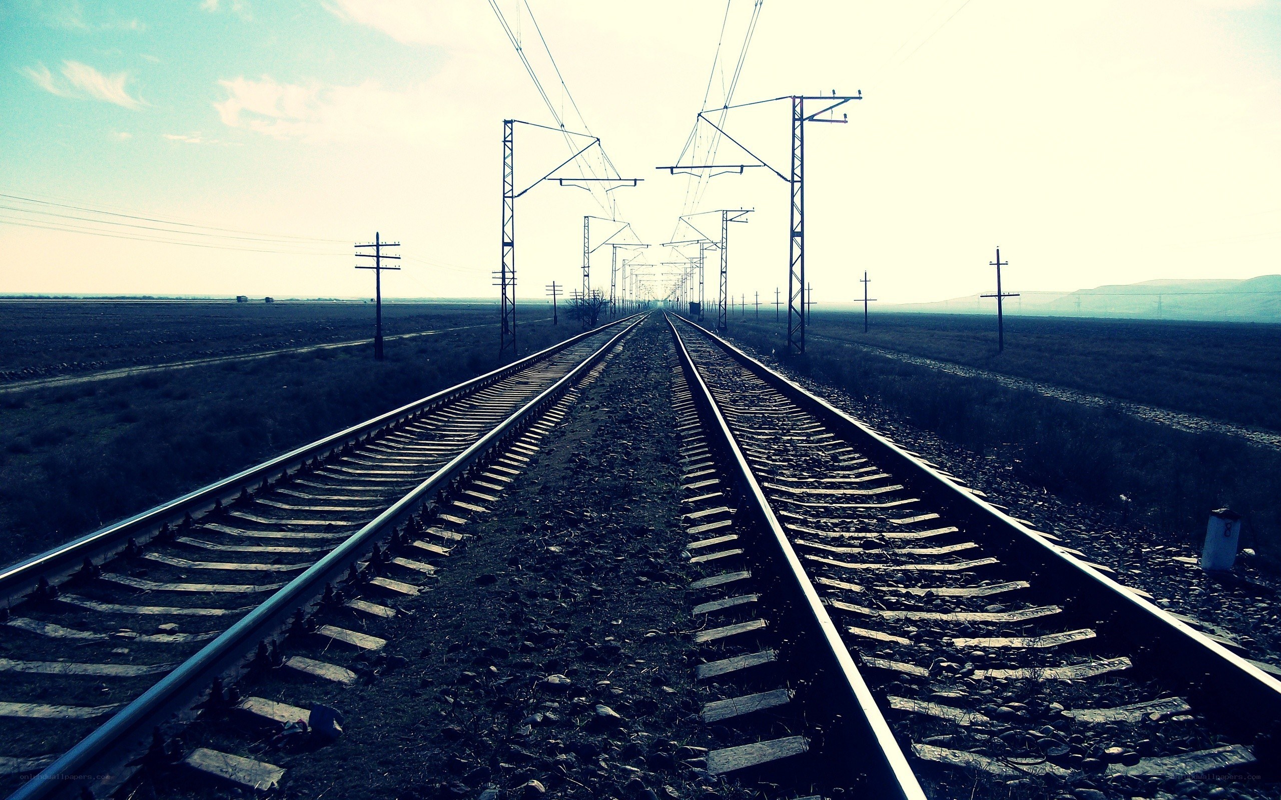 Railway tracks in a field