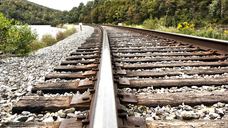 railway tracks in a forest