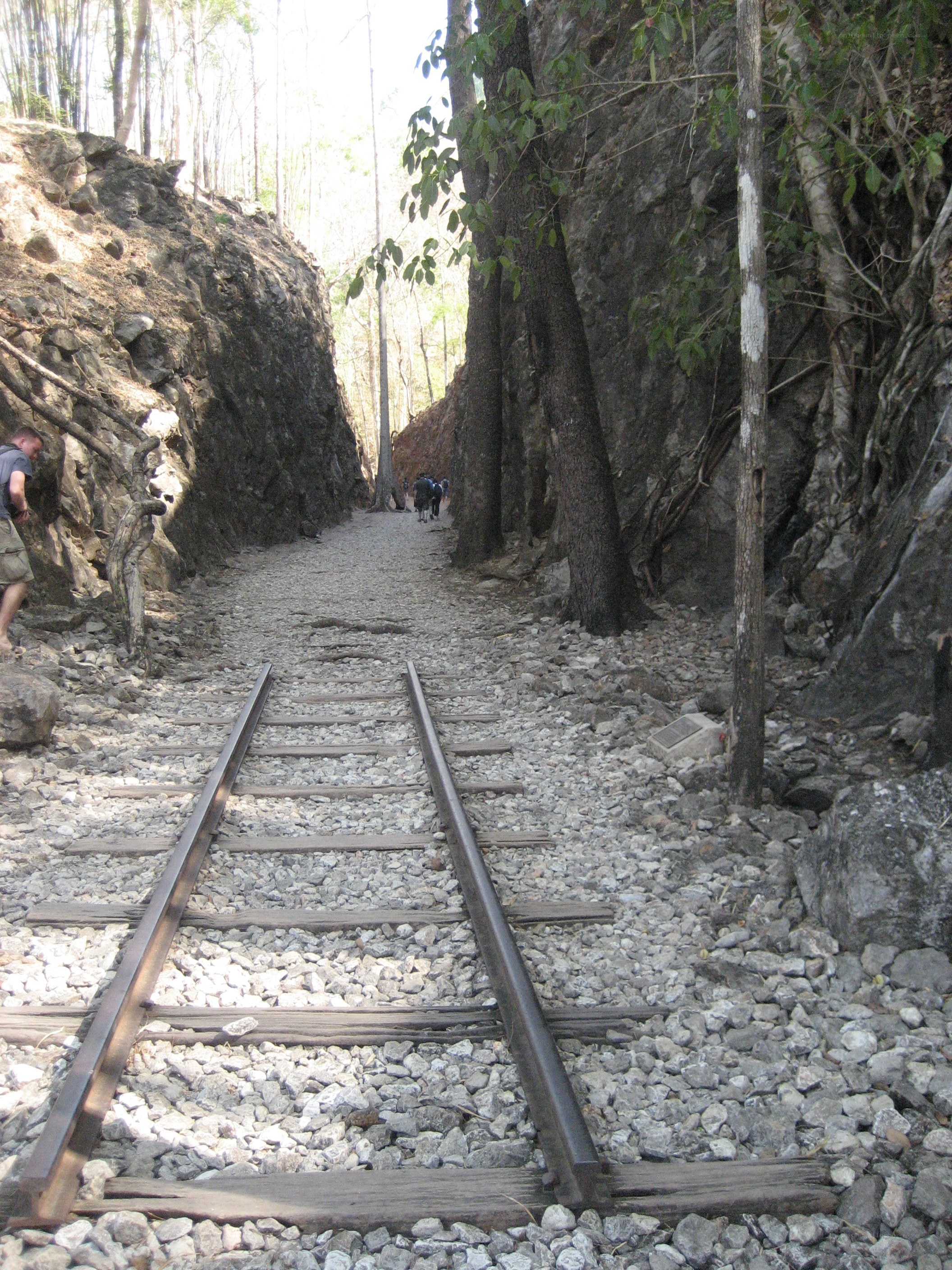 Railway tracks in a forested gorge