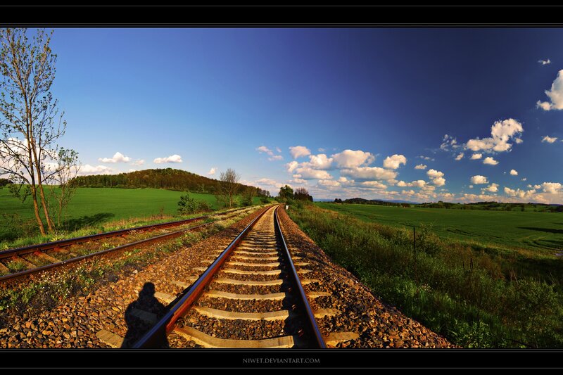 Railway tracks in a green landscape