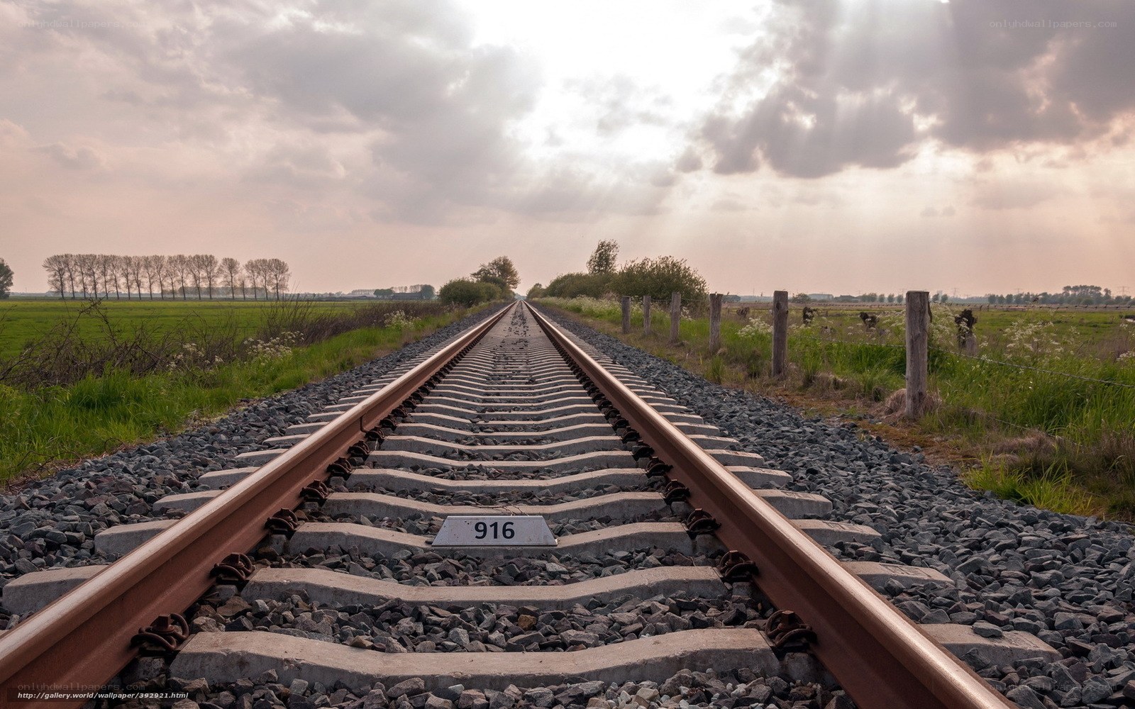 Railway tracks in a rural landscape