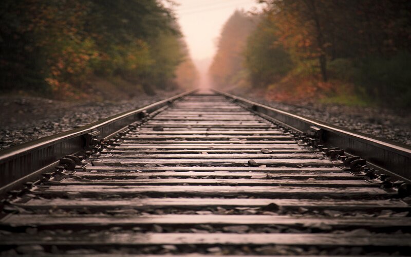 railway tracks in autumn forest