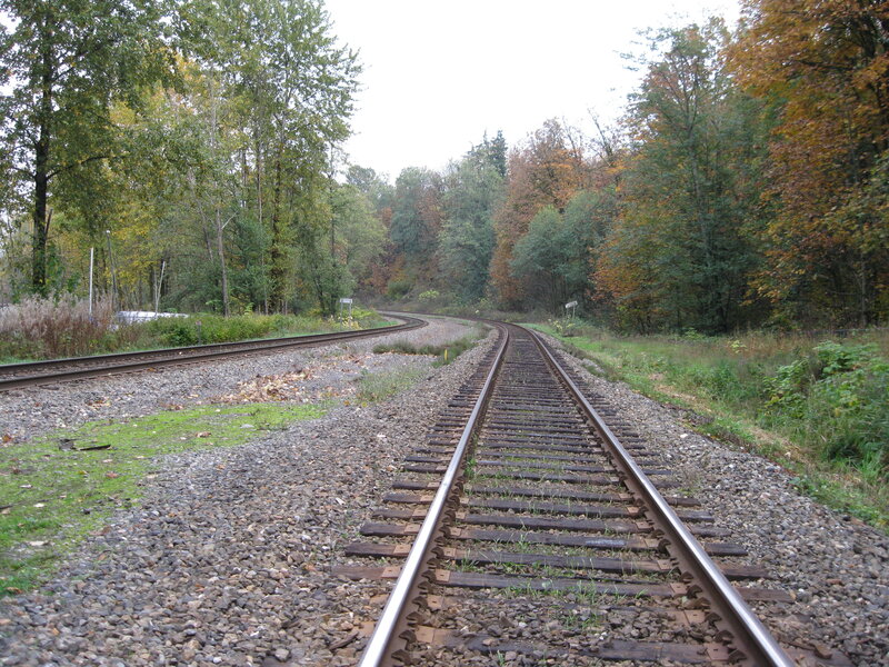 Railway tracks in autumn forest