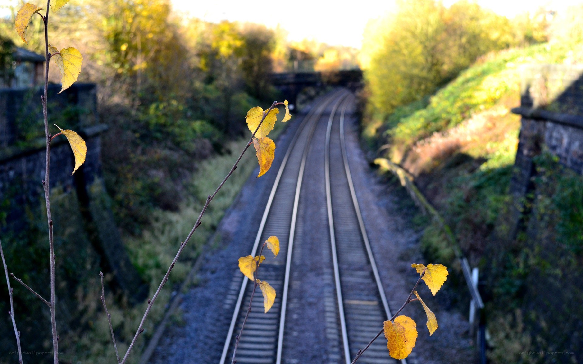 Railway tracks in autumn