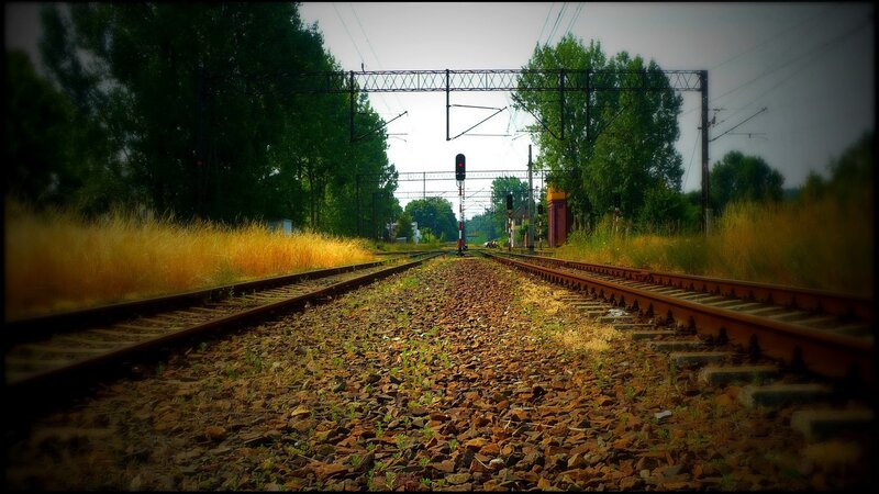 Railway Tracks in Field — Green, Calm