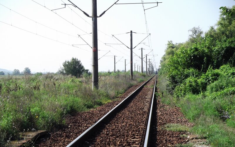 Railway Tracks in Field — Green