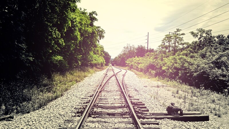 railway tracks in forest