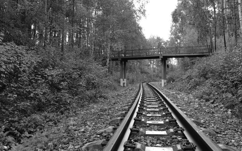Railway Tracks in Forest — Black