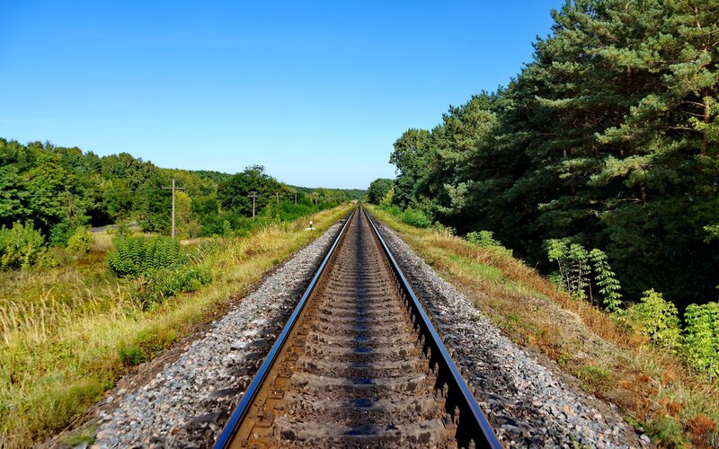 Railway Tracks in Forest — Blue, Serene