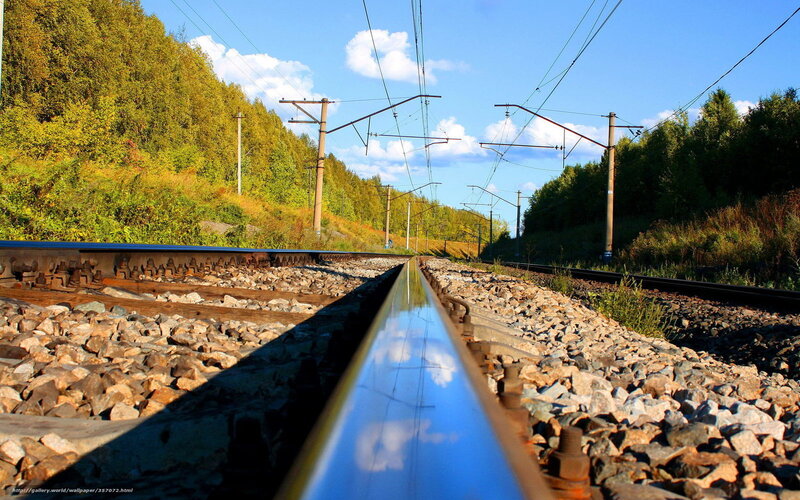 Railway Tracks in Forest — Blue