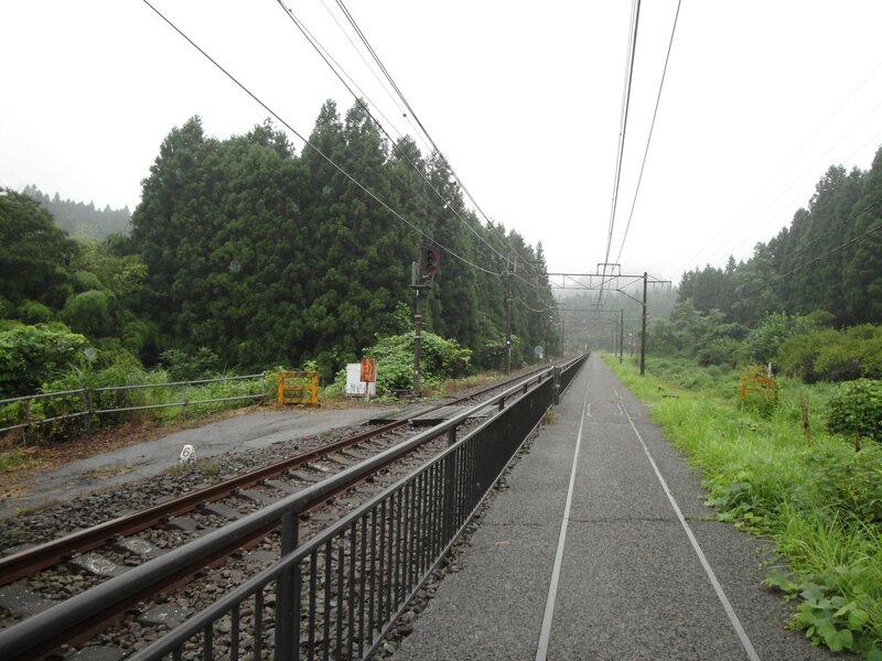Railway Tracks in Forest — Green, Calm