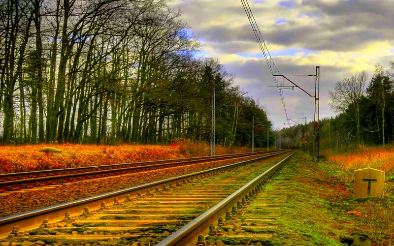 Railway Tracks in Forest — Green, Serene, Autumn