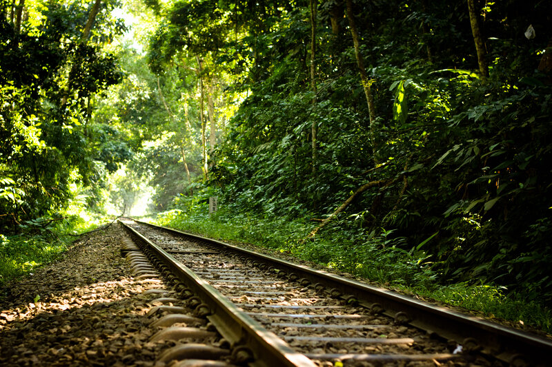 Railway Tracks in Forest — Green, Serene, Morning