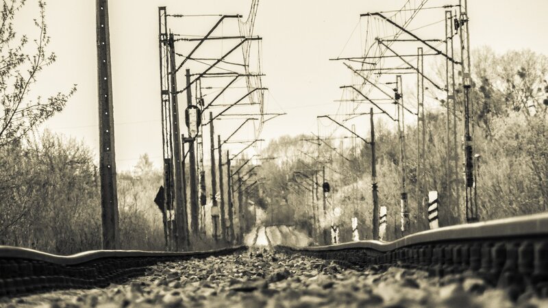 Railway Tracks in Forest — Sepia