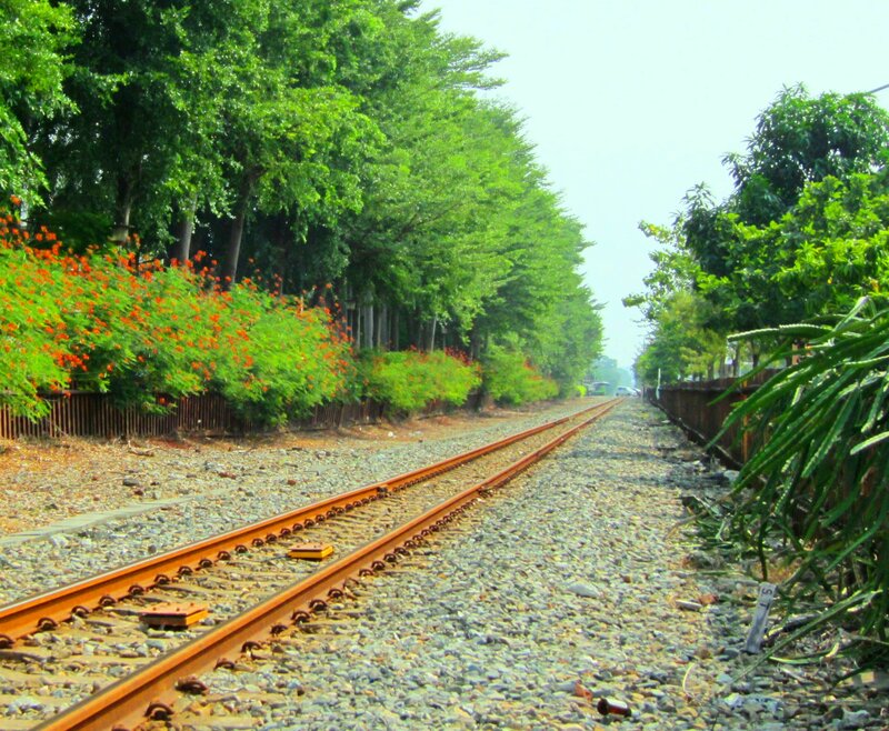 Railway Tracks in Greenery