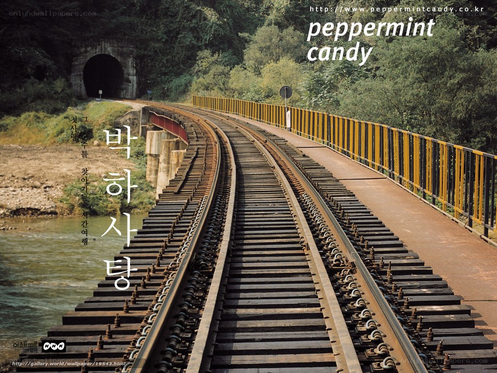 Railway tracks in nature