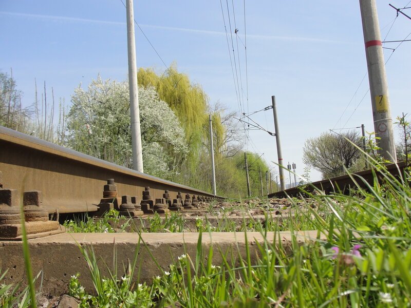 railway tracks in spring
