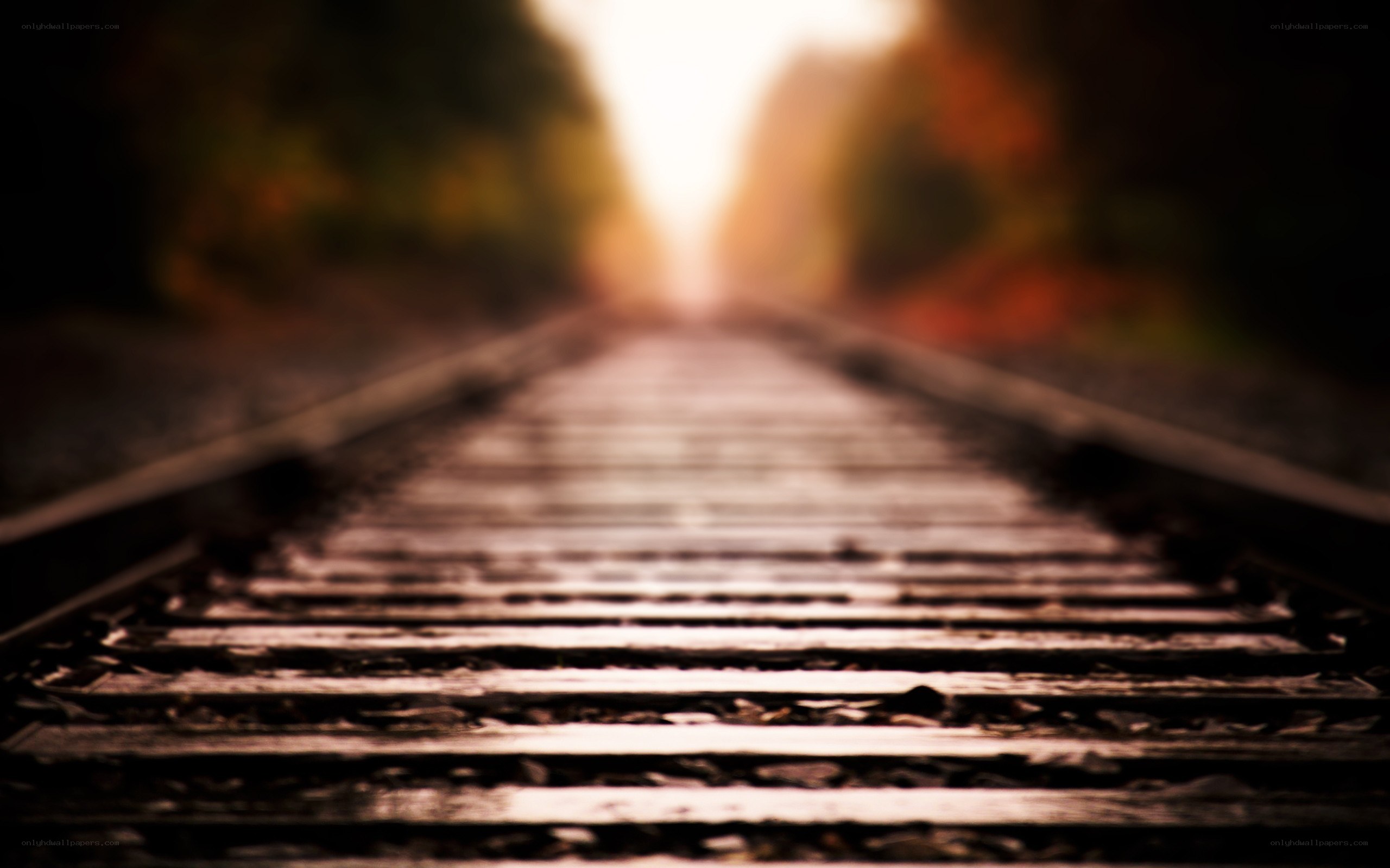 railway tracks leading to sunset
