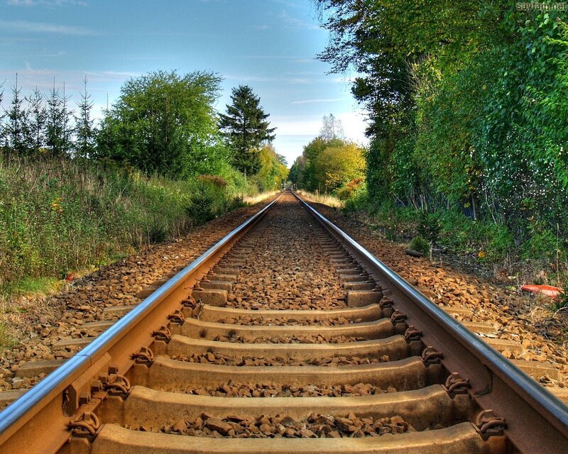 Railway tracks through a forest