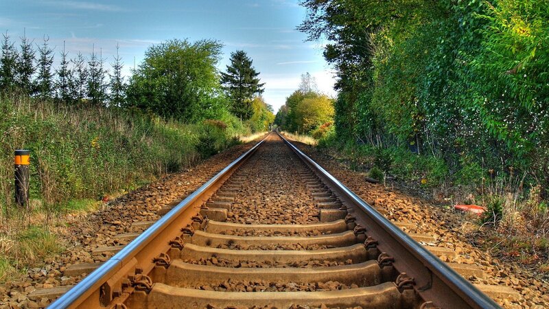 Railway tracks through a forest