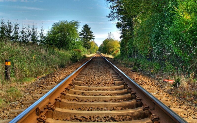 Railway tracks through a forest