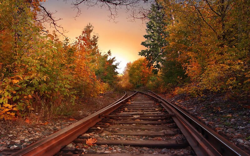 Railway tracks through autumn forest