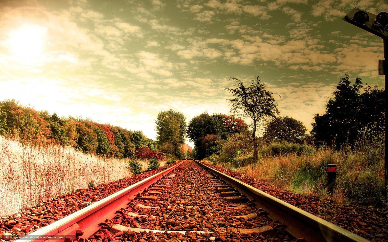 Railway tracks through autumn forest