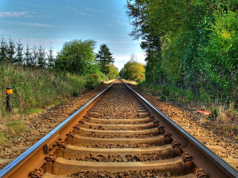 Railway tracks through forest