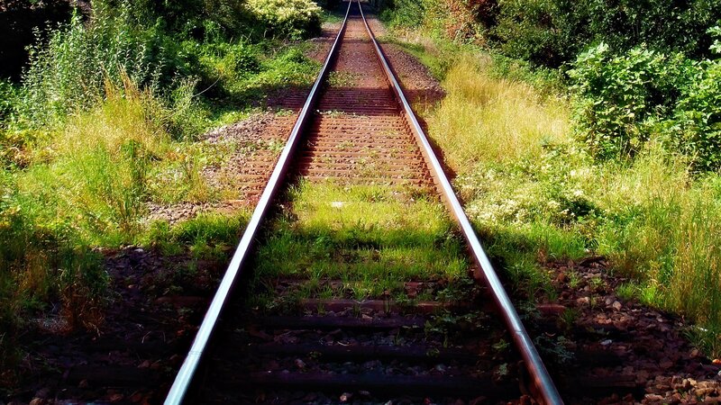 Railway tracks through greenery